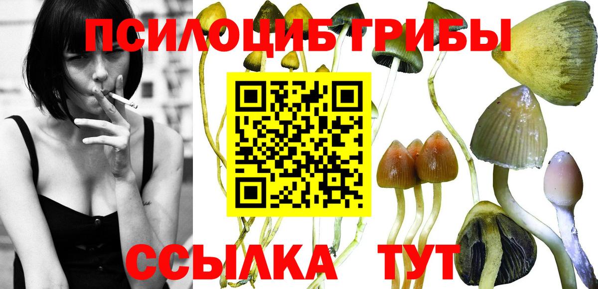Псилоцибиновые грибы GOLDEN TEACHER  Вход с VPN  Галлюциногенные грибы мицелий  Серов 